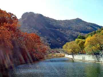 新澳天天开奖资料大全旅游团，镀铝锌板